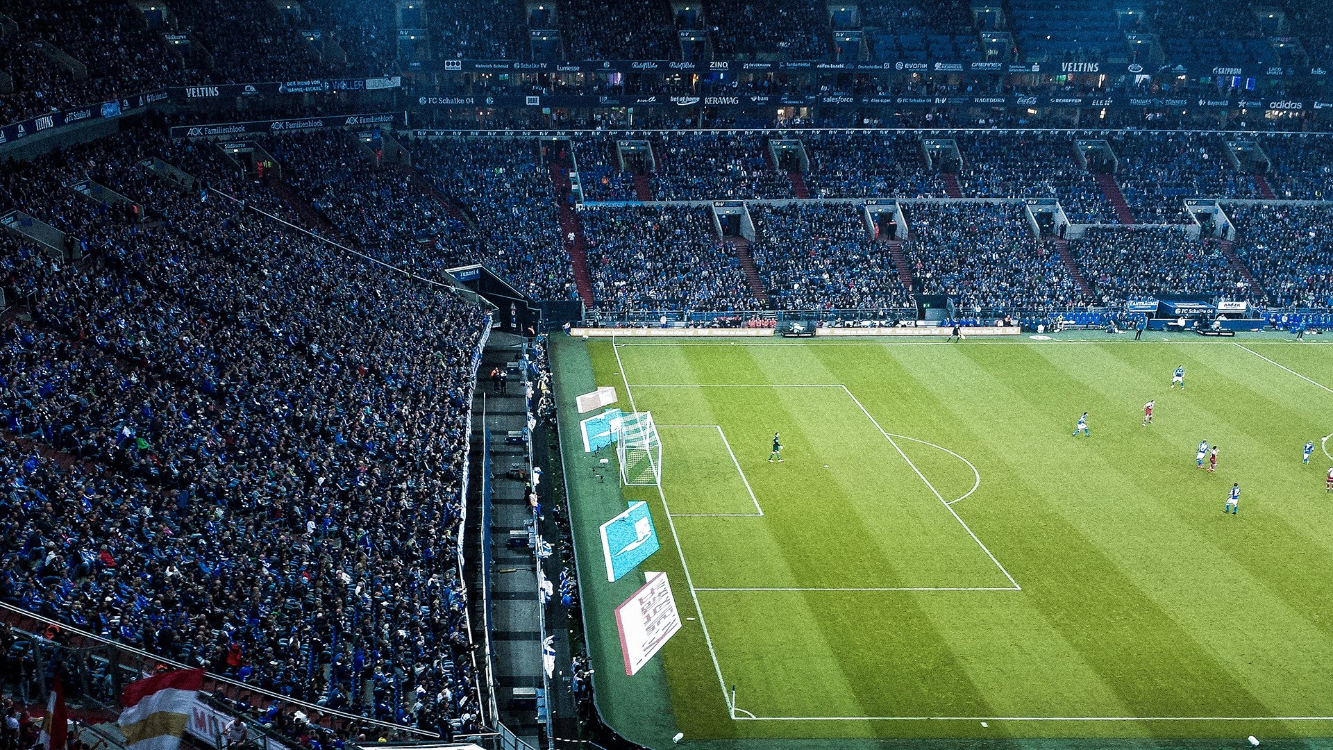 桑德兰主力状态稳定，光明球场高歌猛进，桑德兰主帅